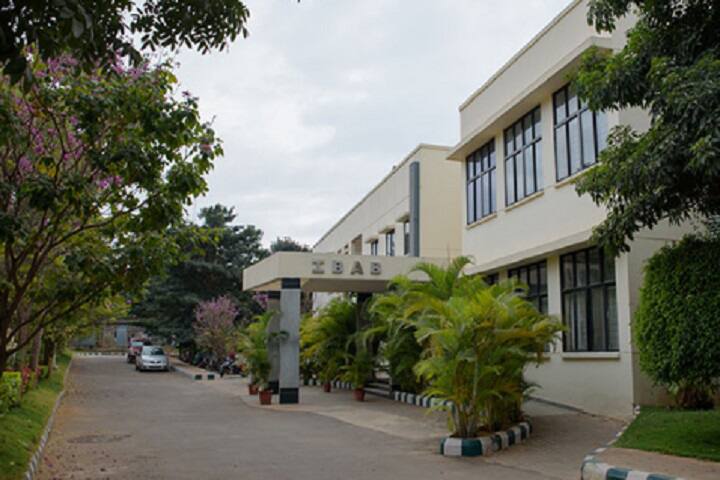 hostel